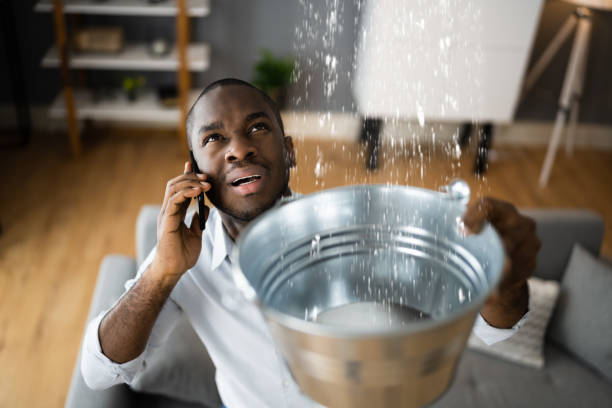 Best Water damage restoration process  in Conrad, MT