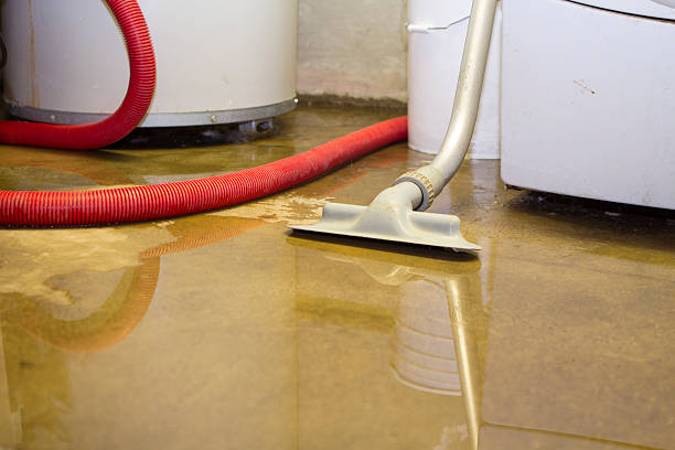 Best Water damage restoration process  in Conrad, MT