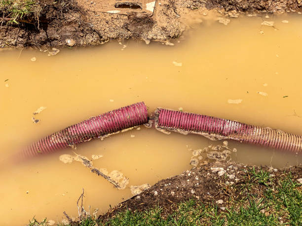 Best Residential water damage restoration  in Conrad, MT